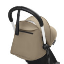 Toffee-White02.jpg