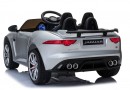 Jaguar-F-Type-Lak-Silver2.jpg