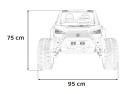 65393.jpg