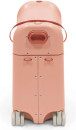 Coral-Pink01.jpg