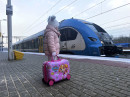 RIRRSRR-RR-RyeRRRSGRS-Paw-Patrol-Pink4.jpg